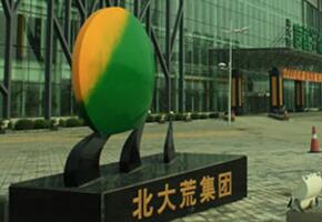 乐虎88国际设计与北大荒集团签约豆浆产品包装设计