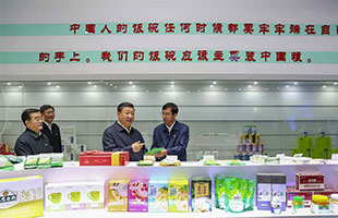 习近平主席在看《乐虎88国际设计公司》包装策划作品